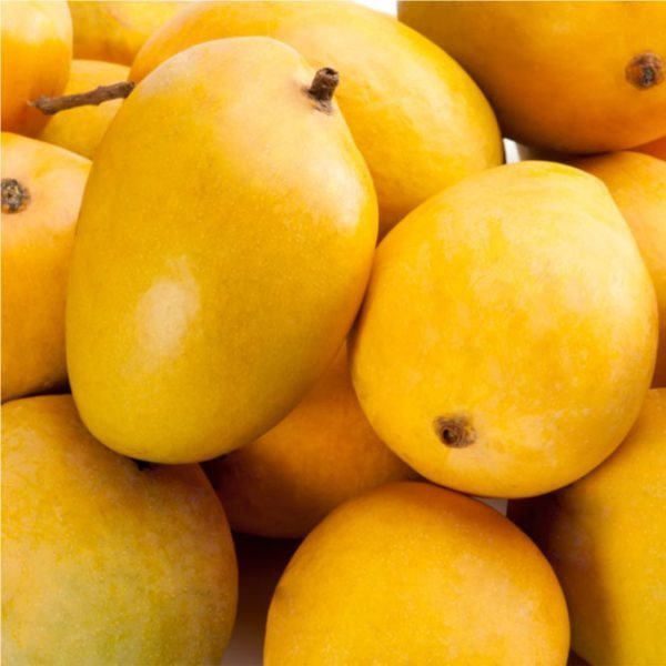 Mangonation.pk-–-Export-Quality-Mango-Delivery-Service-Pakistan-anwar-ratol-no-12-600x600