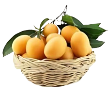 Untitled_design__18_-removebg-preview